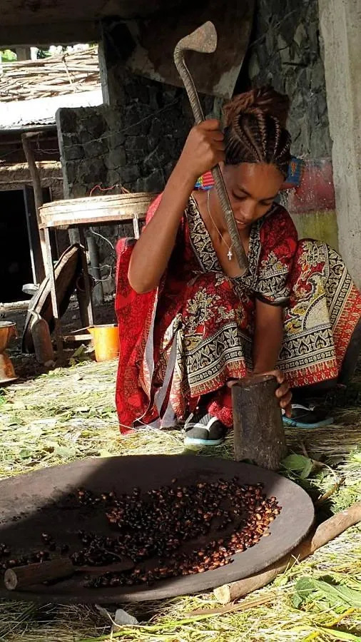 Lalibela Homestay 0*,  에티오피아